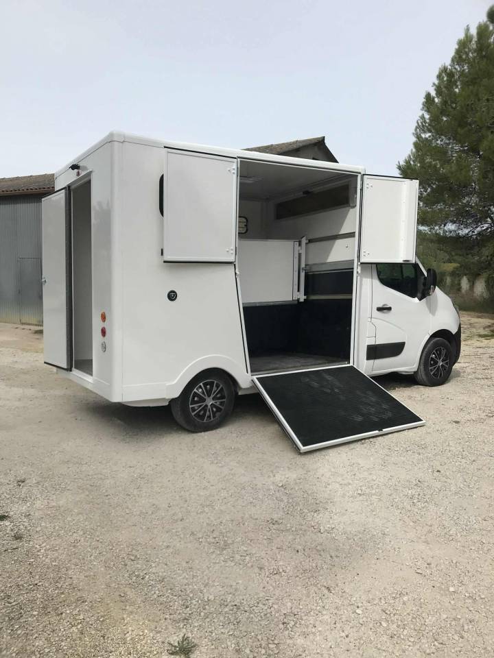 Van per Cavalli Renault  2018 Occasione
