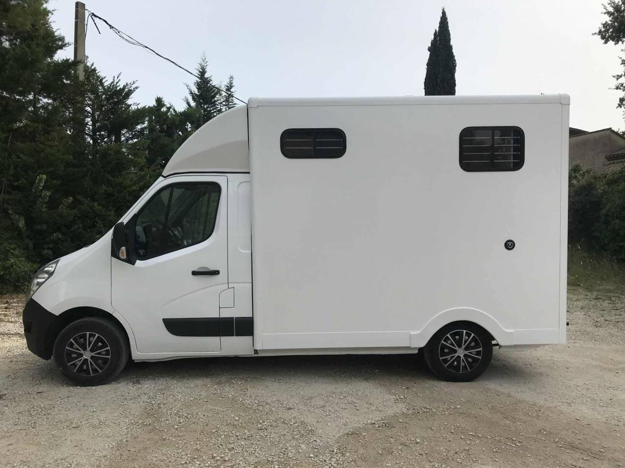 Van per Cavalli Renault  2018 Occasione
