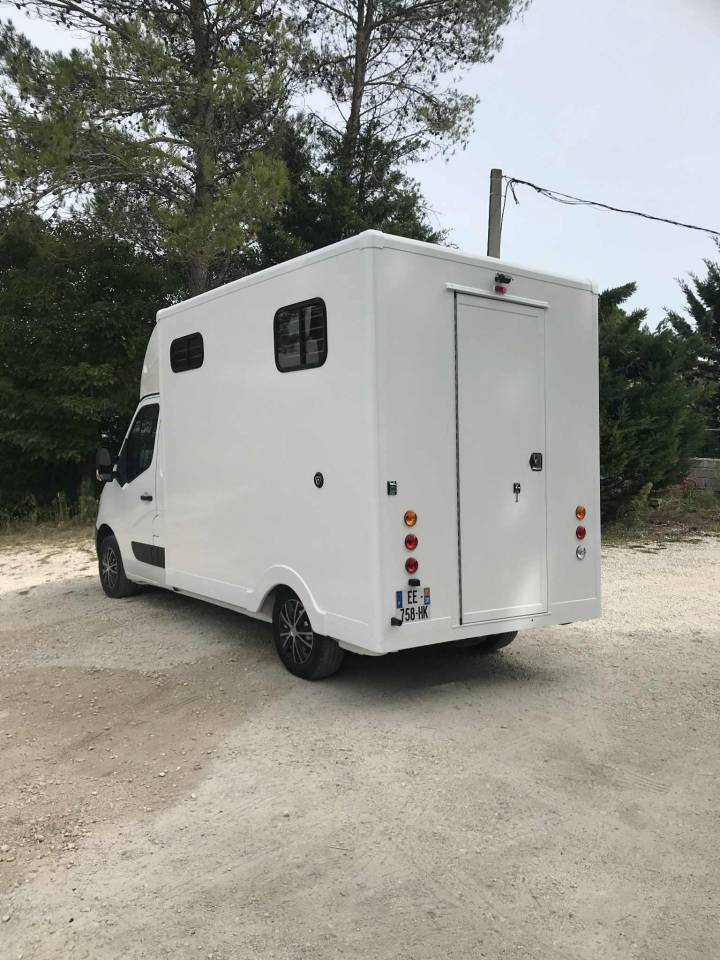 Van per Cavalli Renault  2018 Occasione
