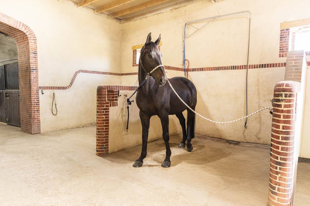 Propriet&agrave; equestre In vendita Seine-et-Marne