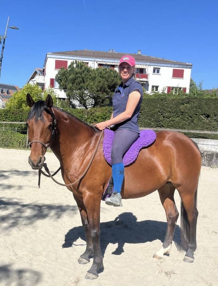 Cavalla Purosangue Arabo In vendita 2019 Baio ,  Eaunoire Isaac