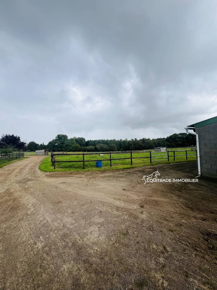 Propriet&agrave; equestre In vendita Manche