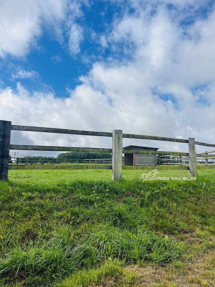 Propriet&agrave; equestre In vendita Manche