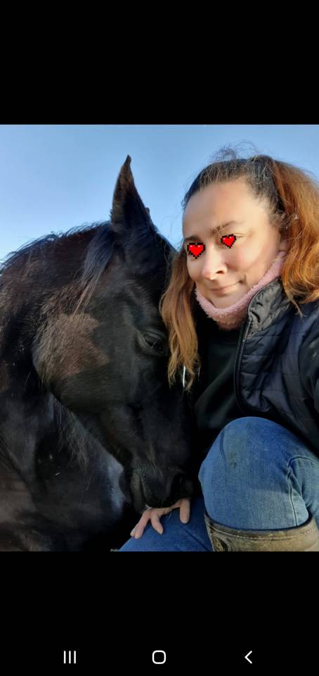 Castrone Purosangue Arabo In vendita 2015 Nero ,  ESTA SKAZIR