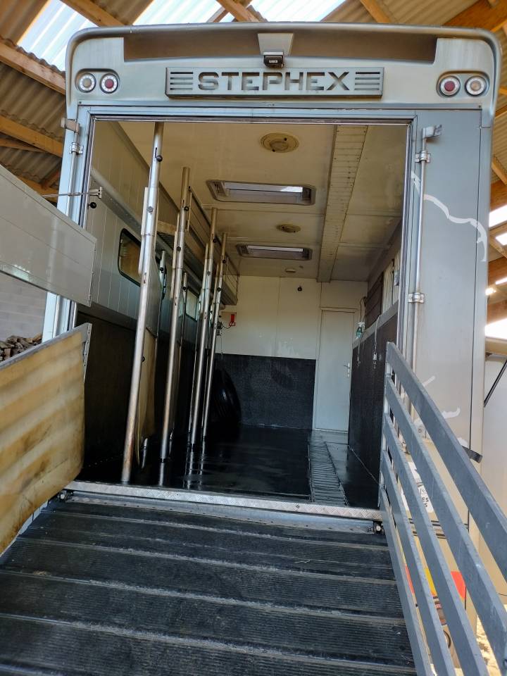 Camion per Cavalli Iveco STEPHEX 2006 Occasione