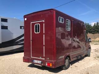 Van per Cavalli Peugeot equitreck 2011 Occasione