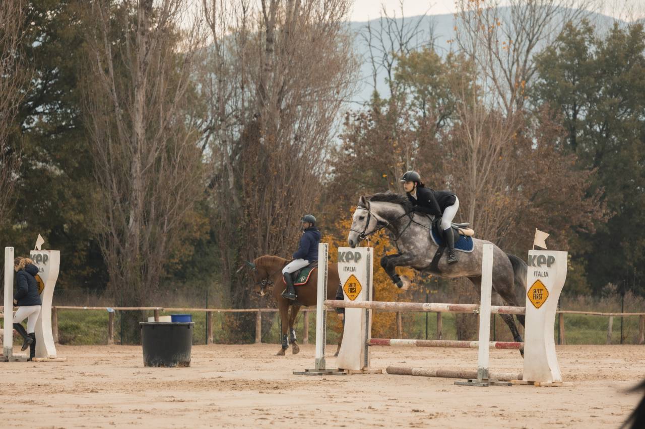 IN VENDITA PULEDRA 5 ANNI ITALIANA-ZONA PERUGIA