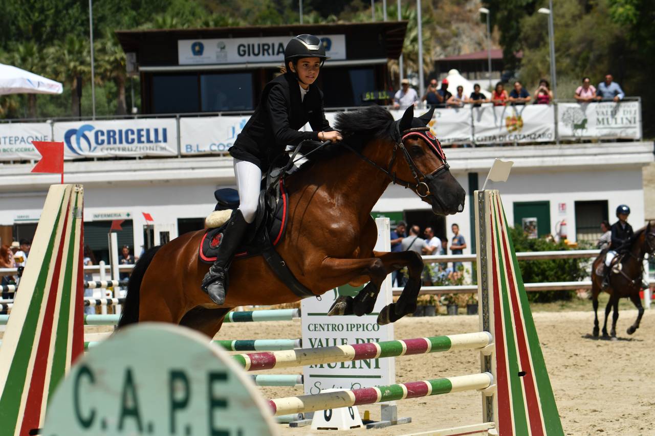 Pony  straordinaria 