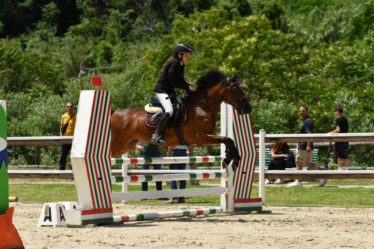 Pony  straordinaria 