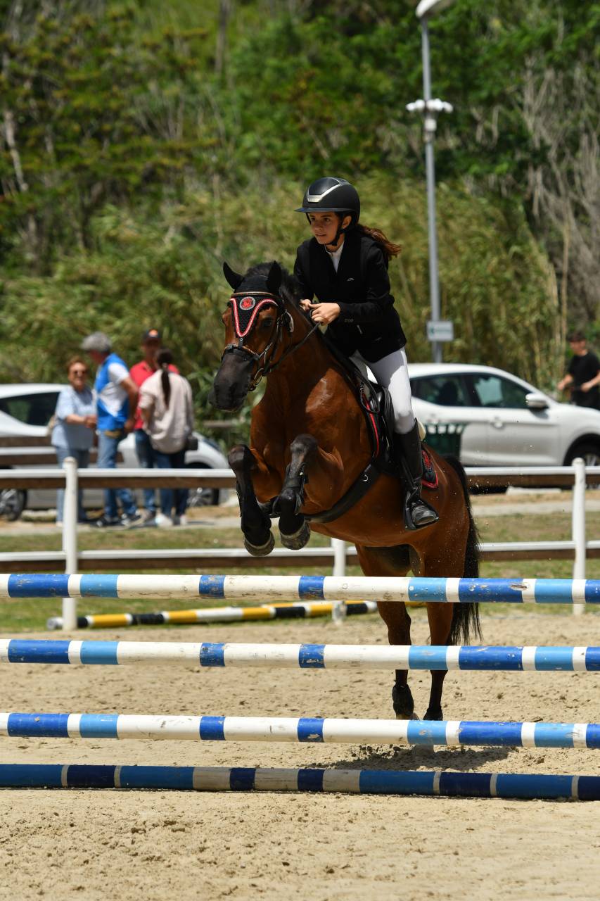Pony  straordinaria 