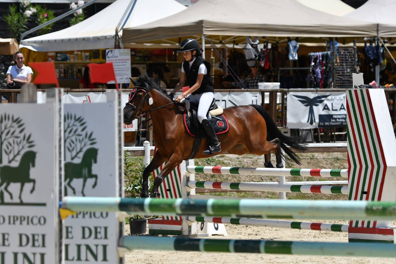 Pony  straordinaria 