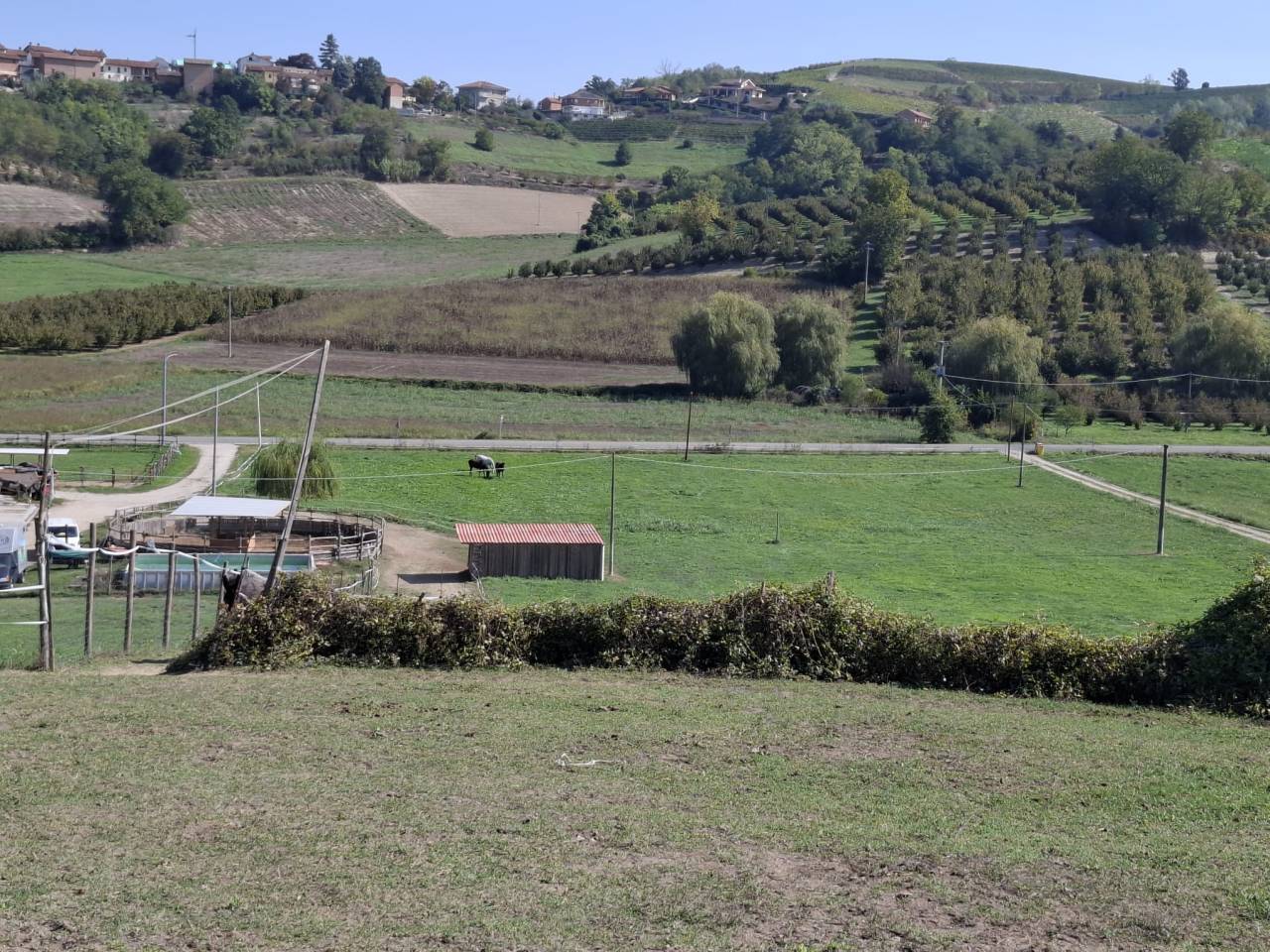 Pensione Naturale per Cavalli a Riposo