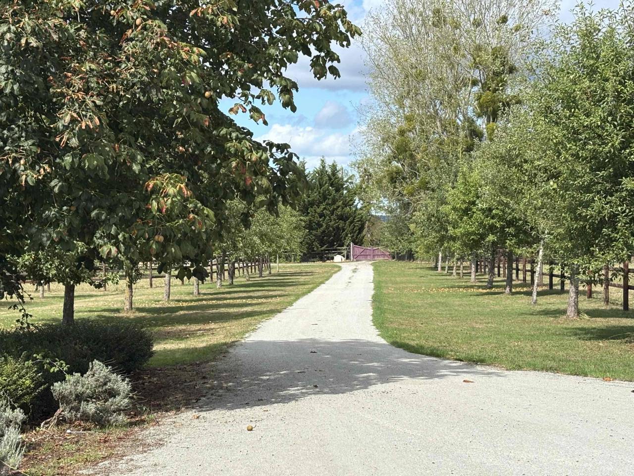 Centro di stagione cavallo In vendita Calvados