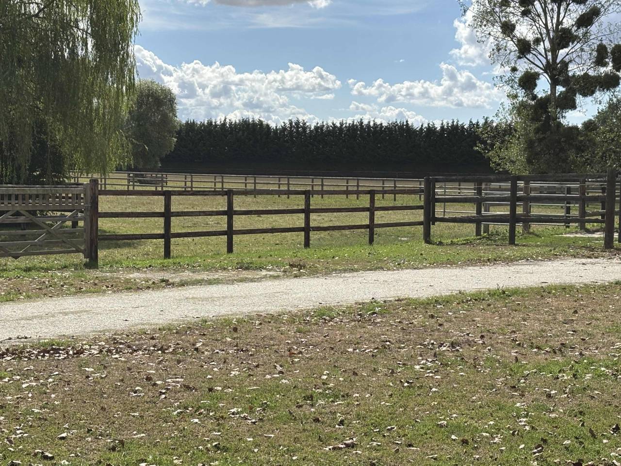 Centro di stagione cavallo In vendita Calvados