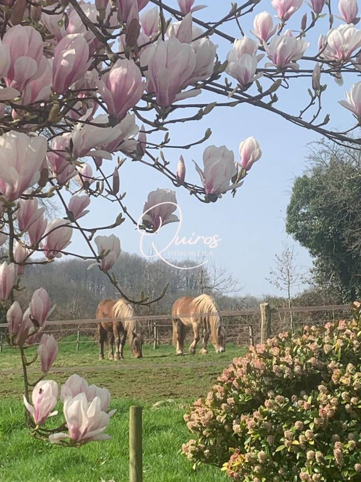 Propriet&agrave; equestre In vendita Manche