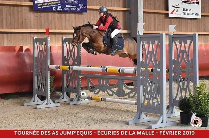 Puledra PFS Pony Francese da Sella In vendita 2025 Sauro ,  Very star kerveyer