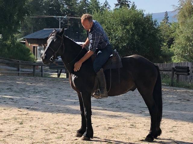 Castrone M&eacute;rens In vendita 2023 Nero