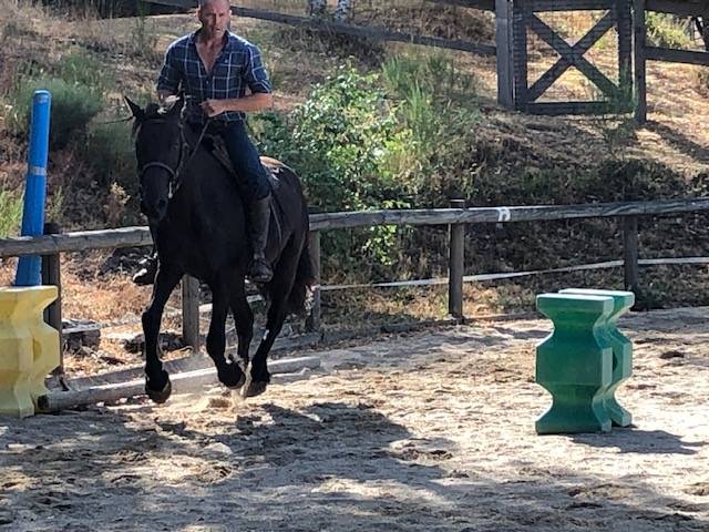 Castrone M&eacute;rens In vendita 2023 Nero