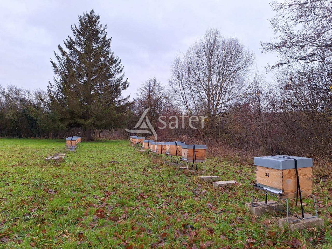 Azienda orticoltrice In vendita Eure-et-Loir