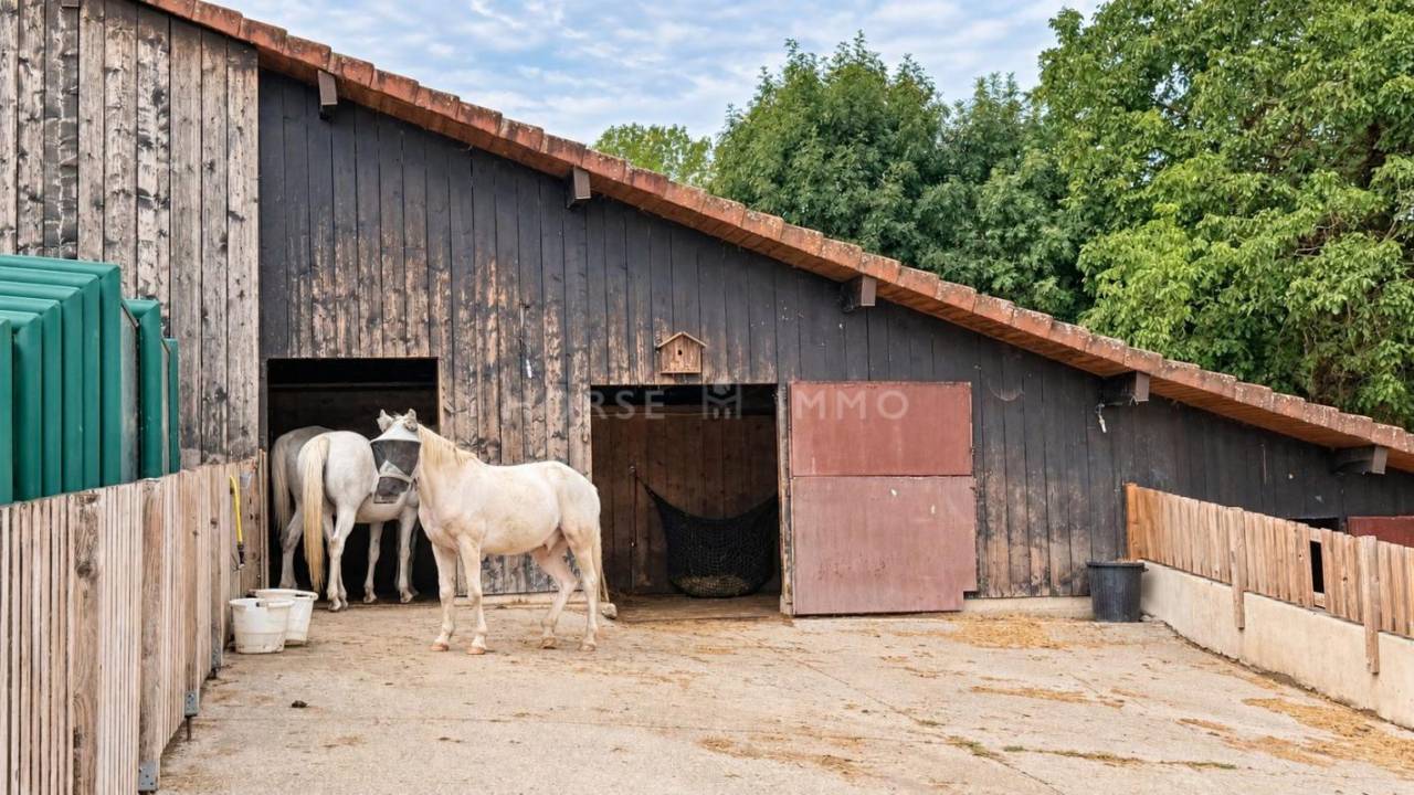 Propriet&agrave; equestre In vendita Haute-Savoie