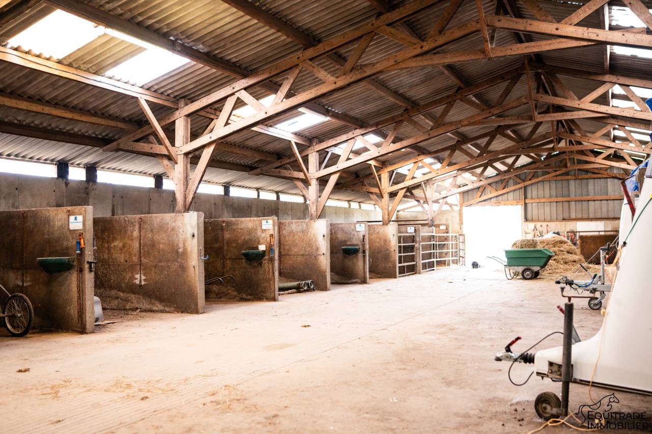 Propriet&agrave; equestre In vendita Ile-et-Vilaine