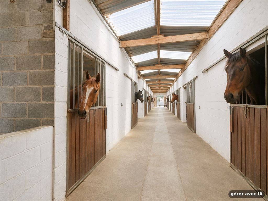 Propriet&agrave; equestre In vendita Hainaut