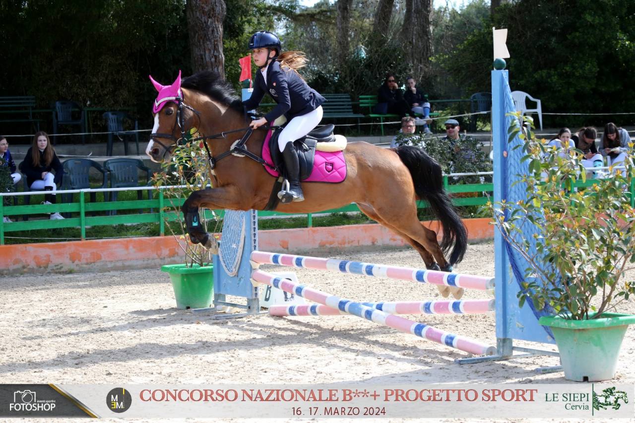Pony olandese esperto competitivo