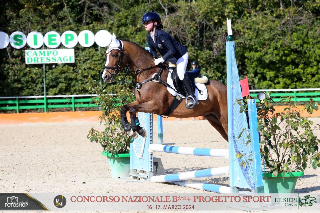 Pony olandese esperto competitivo