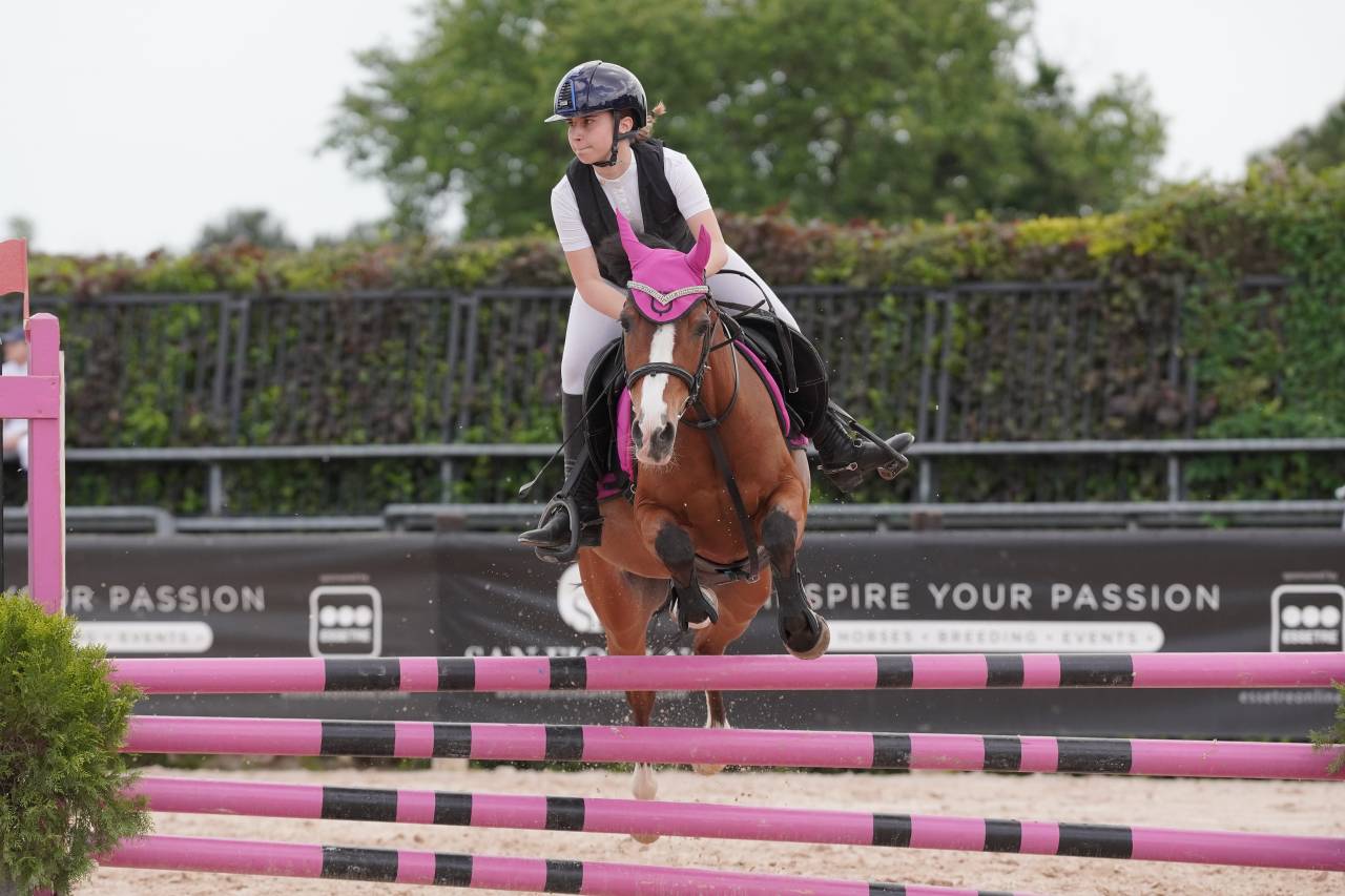 Pony olandese esperto competitivo