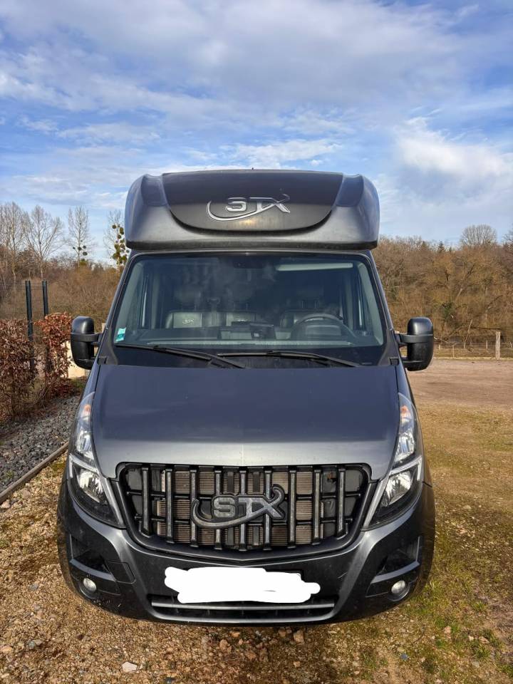 Van per Cavalli Opel Movano 2021 Occasione