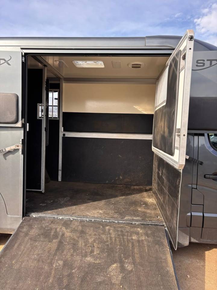 Van per Cavalli Opel Movano 2021 Occasione