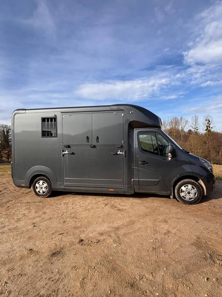Van per Cavalli Opel Movano 2021 Occasione