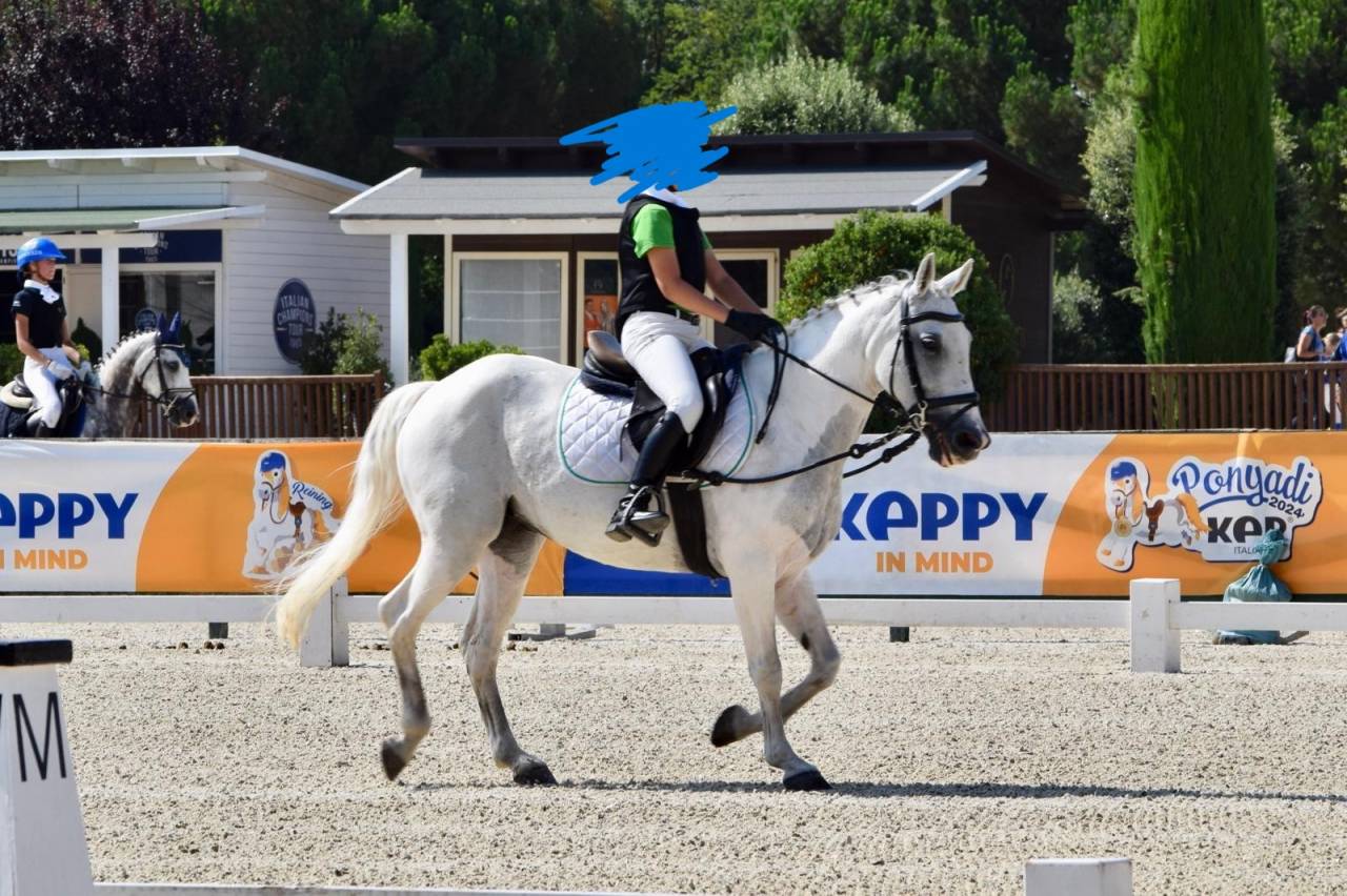 PONY POLIVALENTE PER BREVETTO