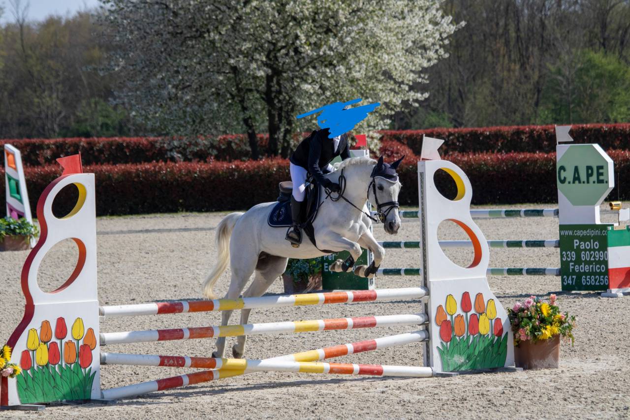 PONY POLIVALENTE PER BREVETTO