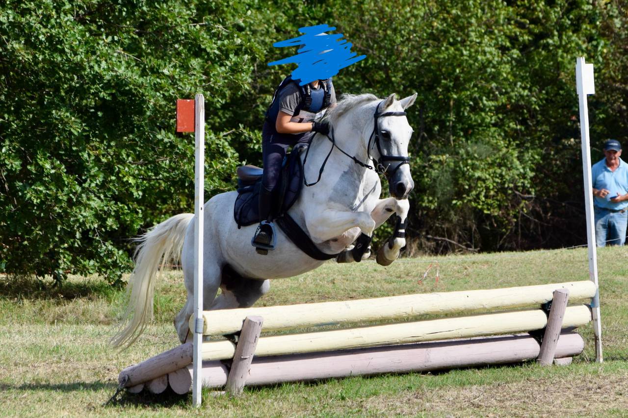 PONY POLIVALENTE PER BREVETTO