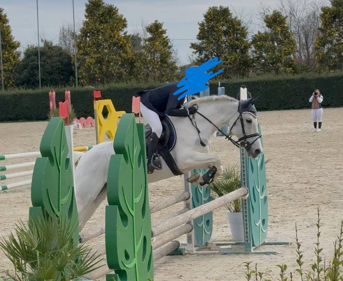 PONY POLIVALENTE PER BREVETTO