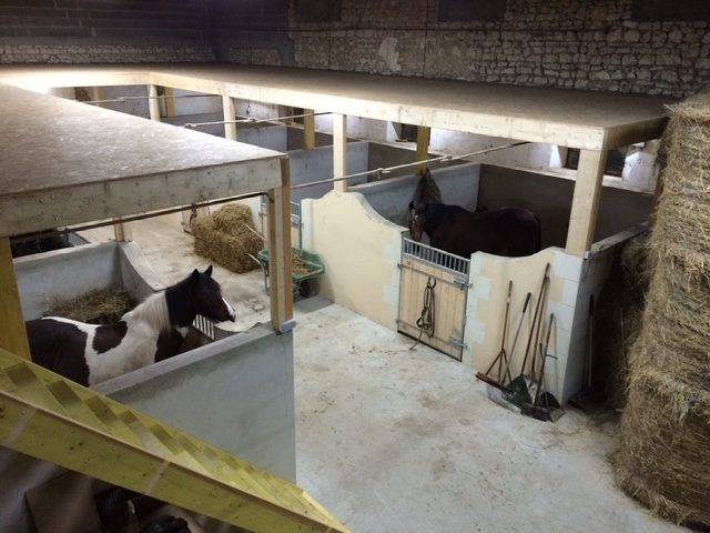 Scuderia per proprietari In vendita Vienne