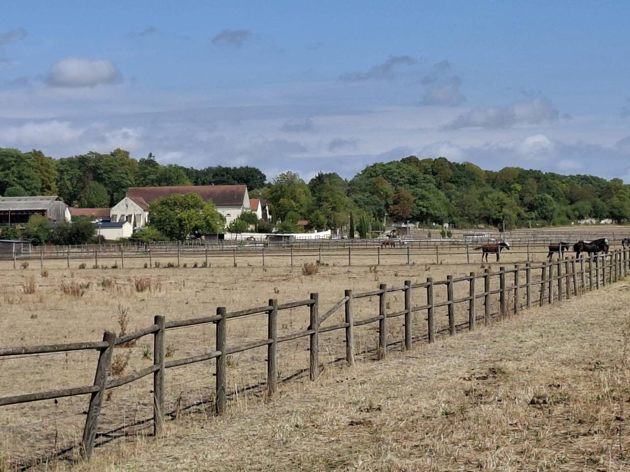 Scuderia per proprietari In vendita Vienne