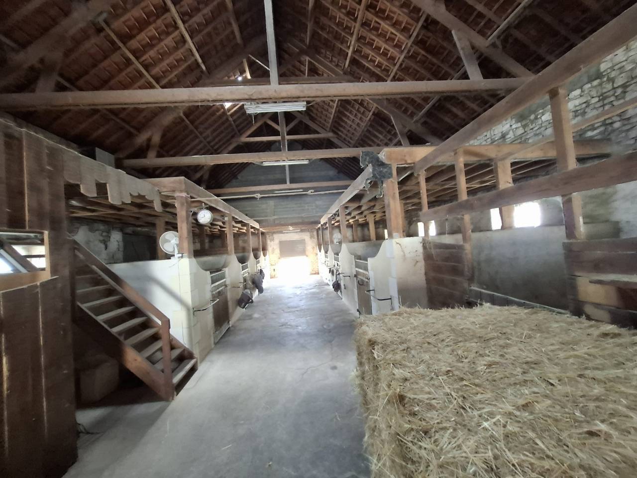 Scuderia per proprietari In vendita Vienne