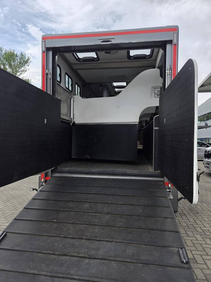 Camion per Cavalli - Altra marca -  2019 Occasione