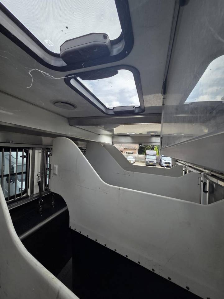 Camion per Cavalli - Altra marca -  2019 Occasione