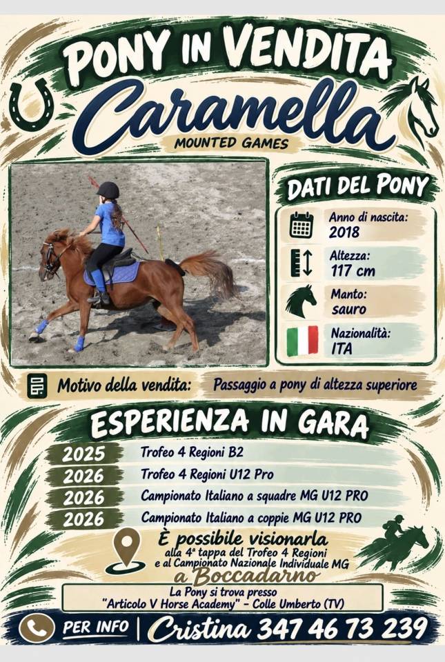 Vendo pony sauro 117 cm