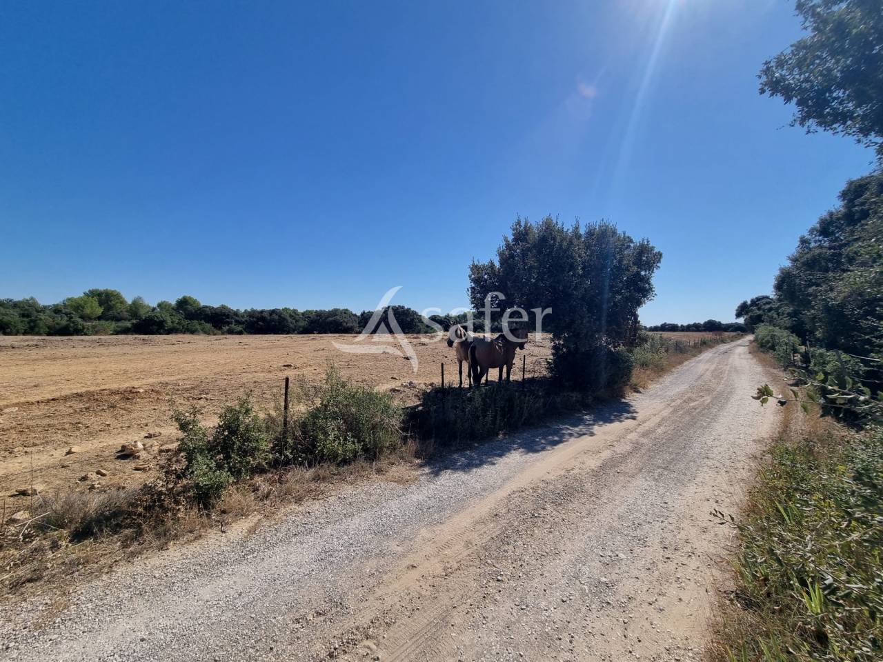Propriet&agrave; rurale In vendita H&eacute;rault