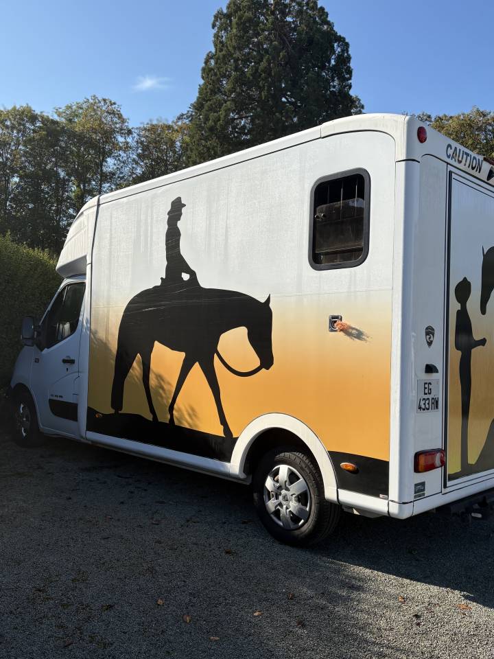 Van per Cavalli Paragan Equistro  2016 Occasione