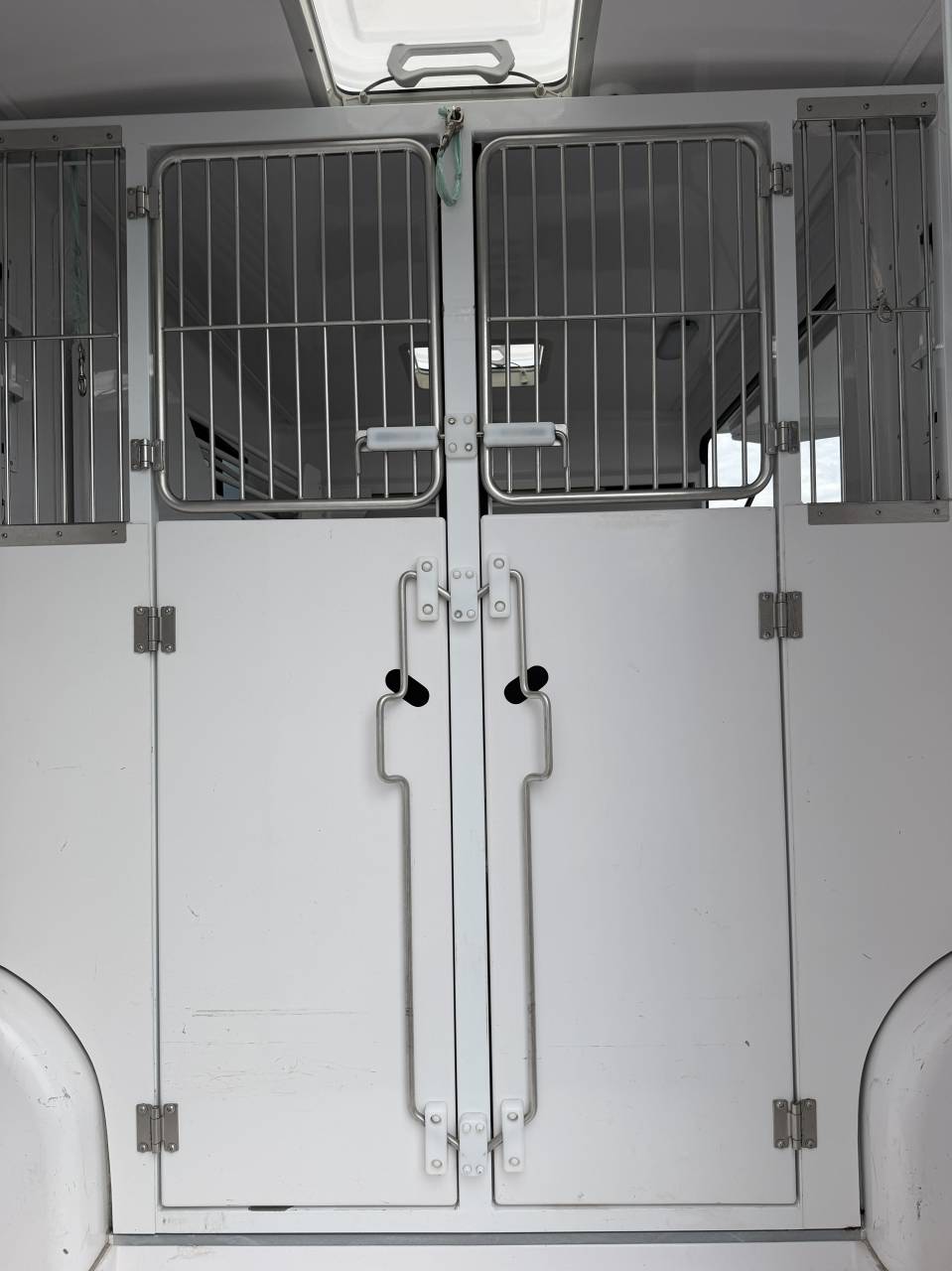 Van per Cavalli Barbot Boxer 2024 Occasione