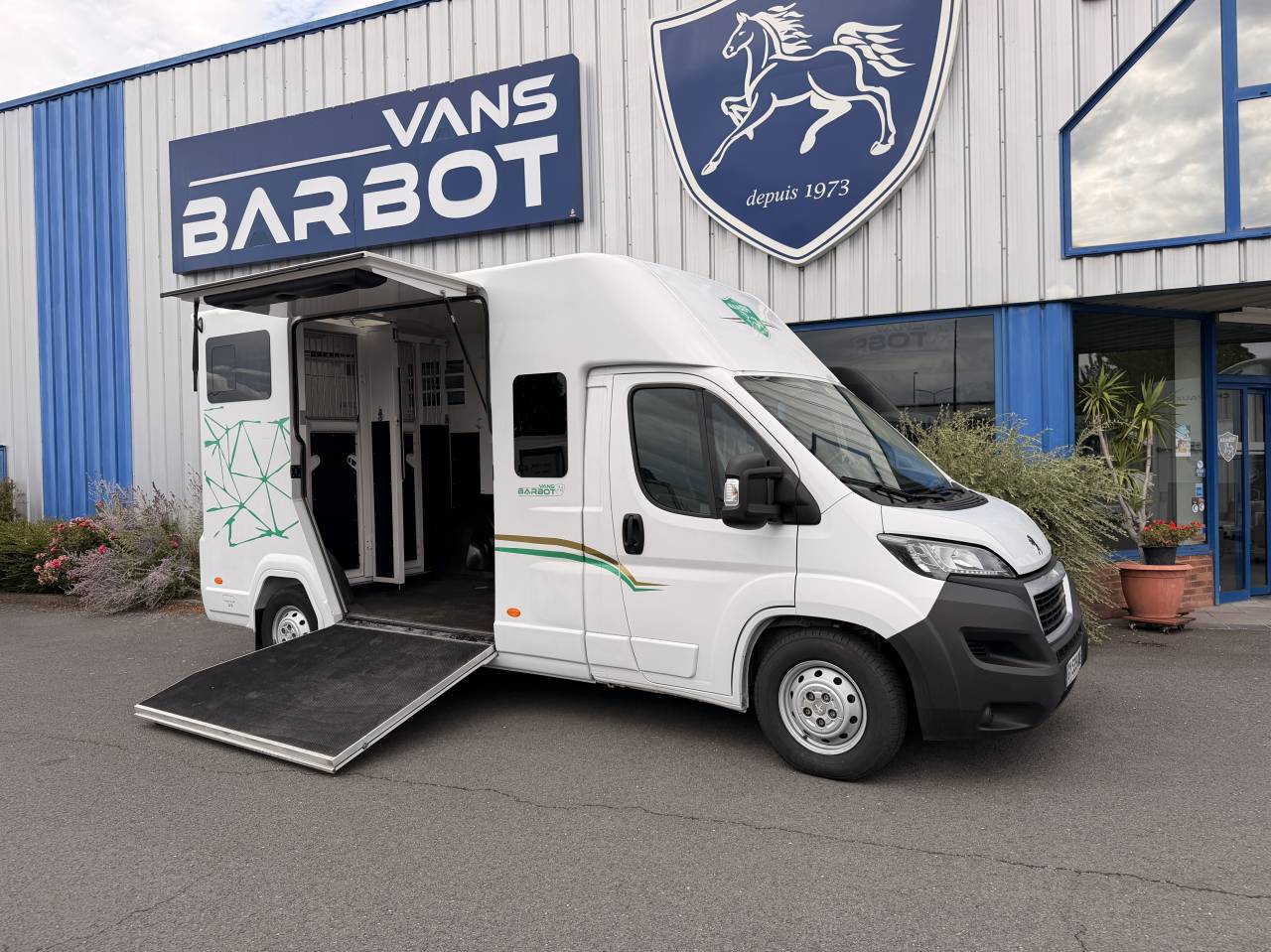 Van per Cavalli Barbot Boxer 2024 Occasione