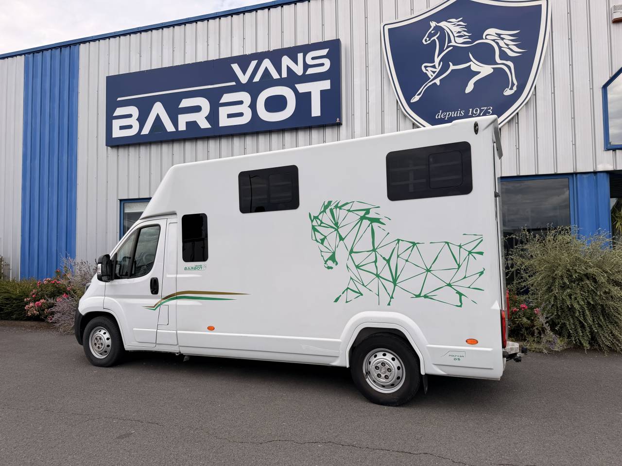 Van per Cavalli Barbot Boxer 2024 Occasione