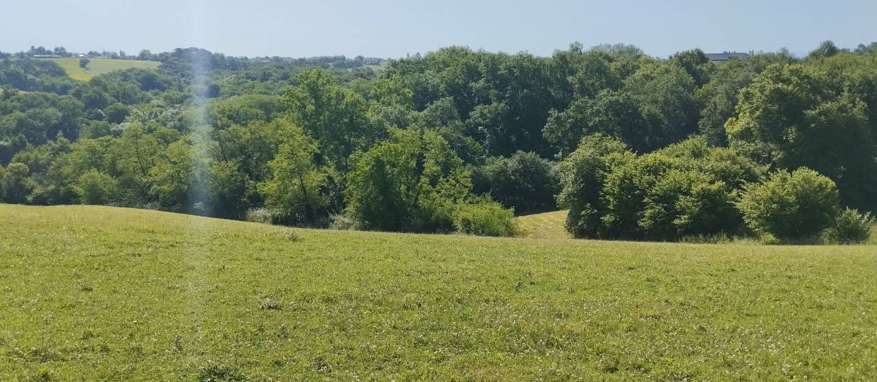 Propriet&agrave; equestre In vendita Landes