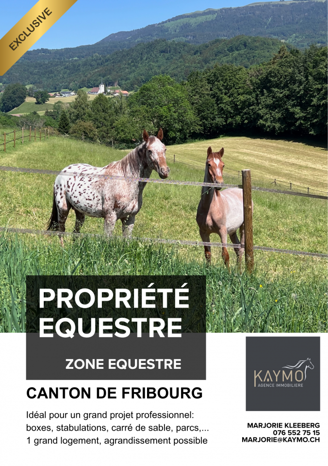 Azienda equestre In vendita Fribourg