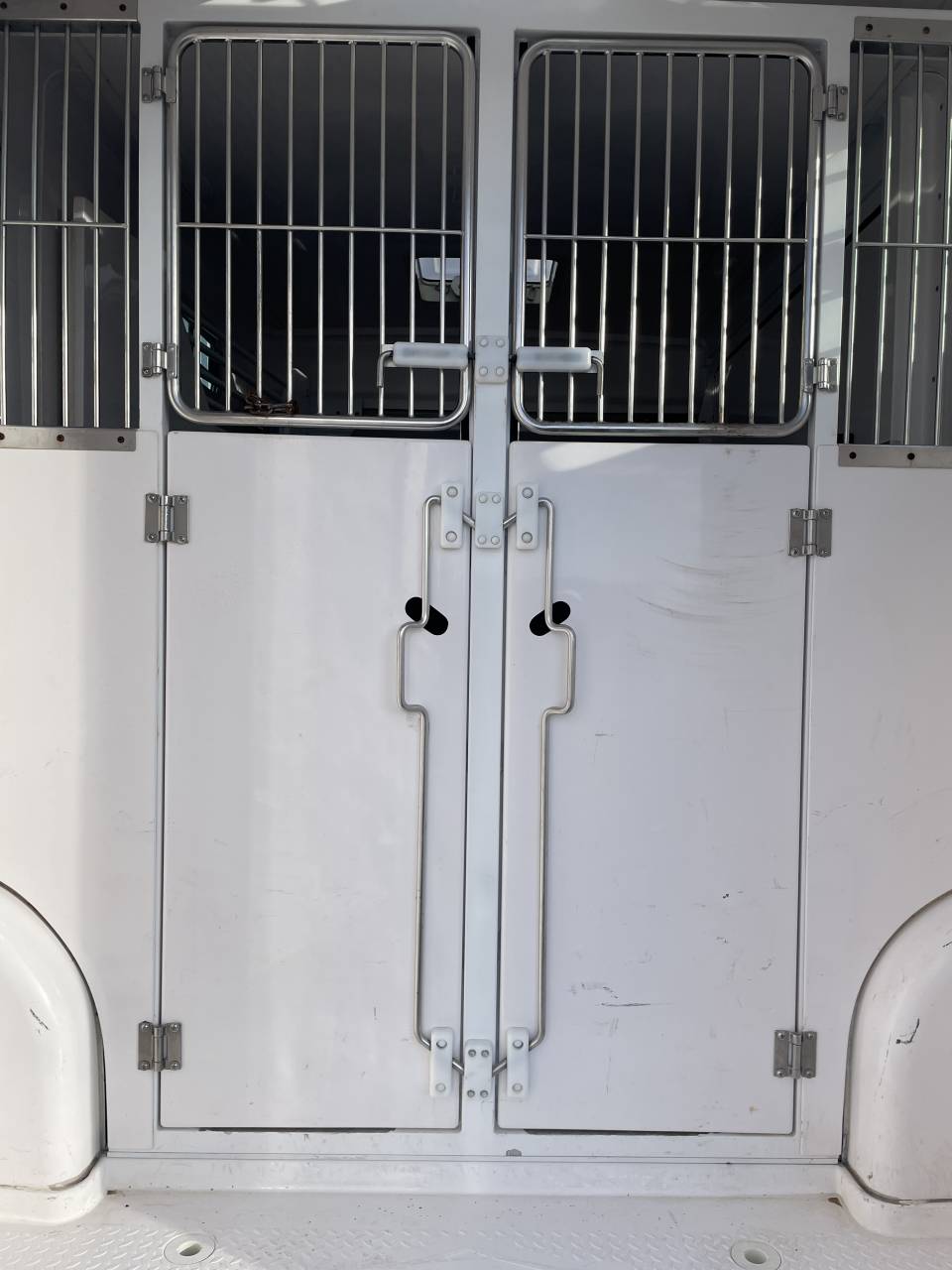 Van per Cavalli Barbot Ducato 2019 Occasione